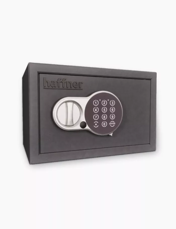 Coffre fort Fichet Bauche Newton Room 10L
