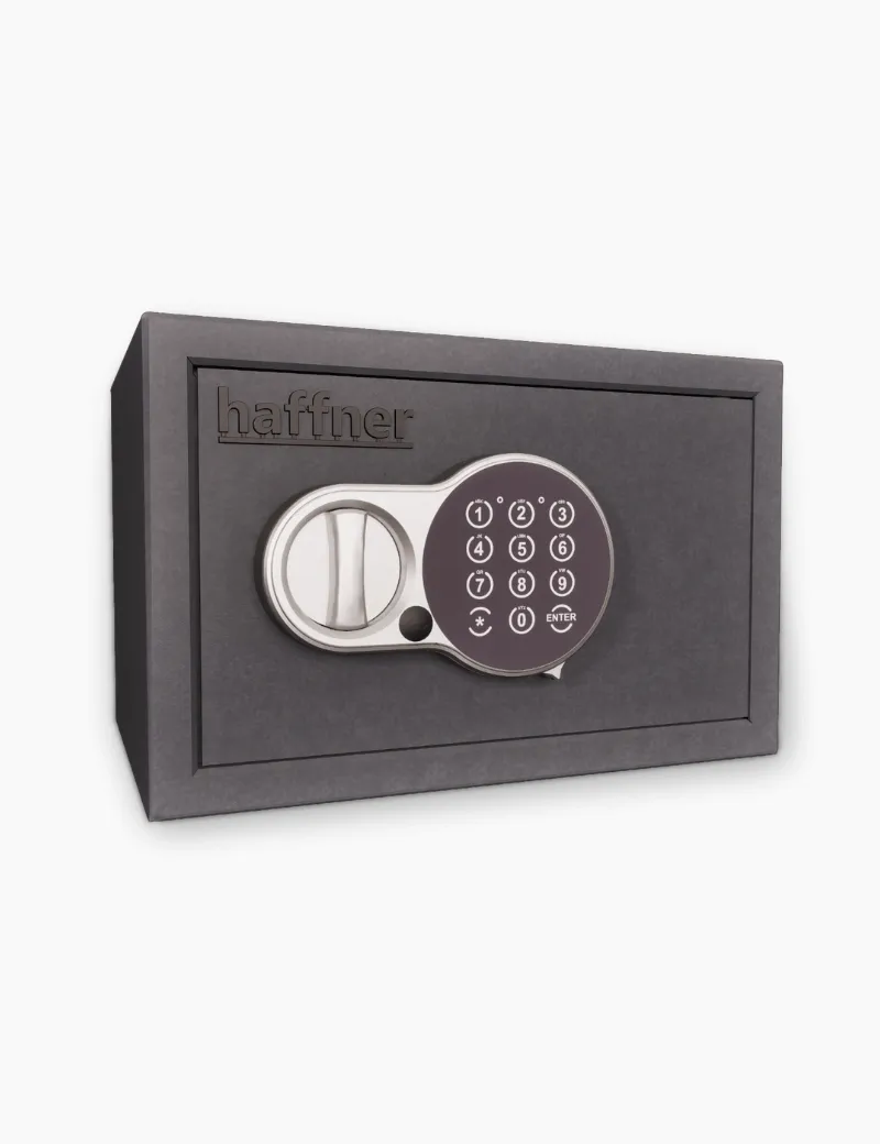 Coffre fort Fichet Bauche Newton Room 10L